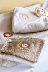 Washcloths 2-pack - Aura Lion